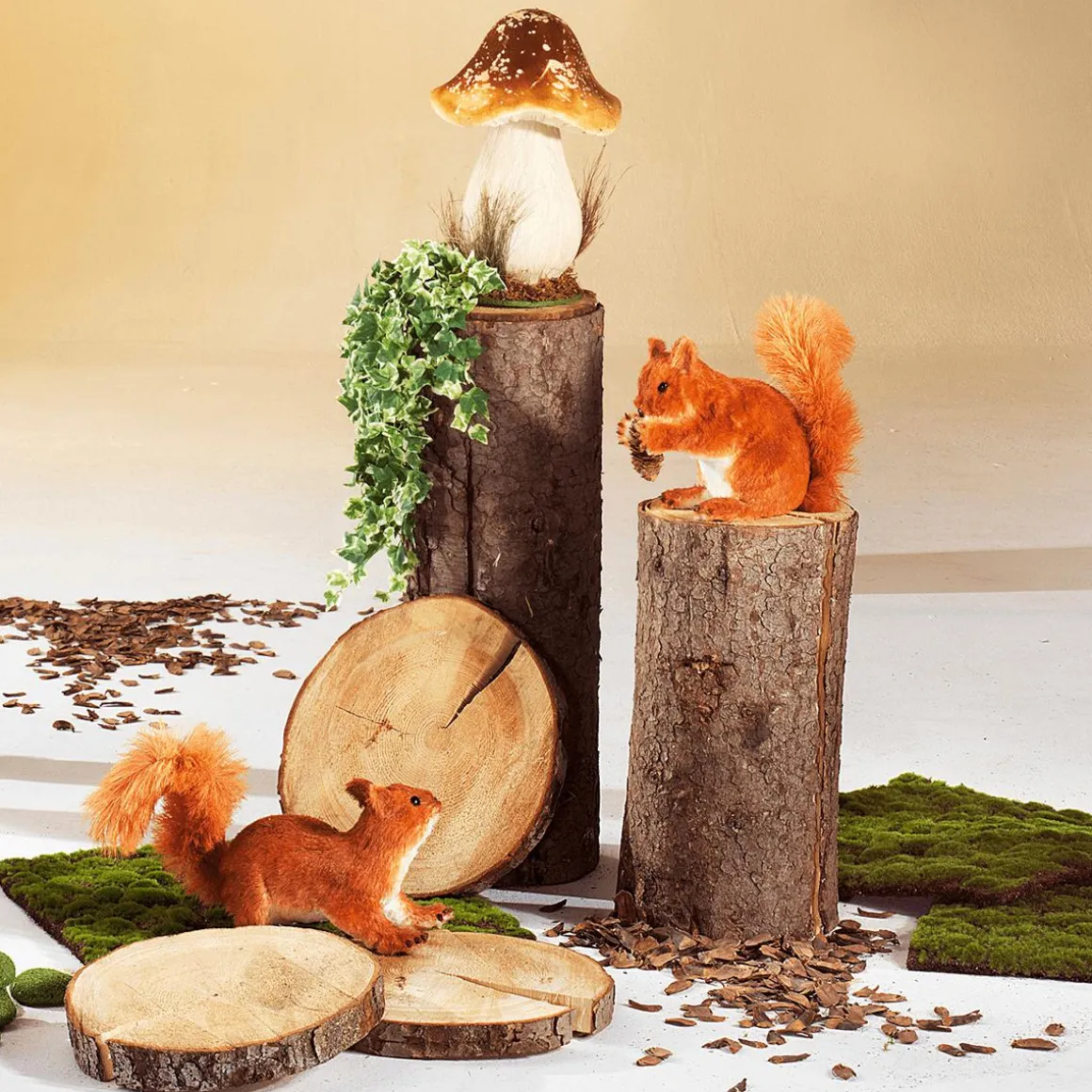 Eichhörnchen, Sitzend