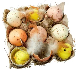 Eier-Küken-Schachtel