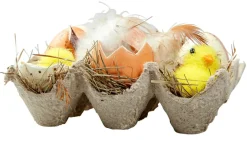 Eier-Küken-Schachtel