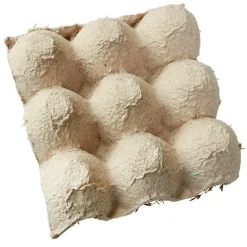 Eier-Küken-Schachtel