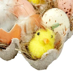 Eier-Küken-Schachtel