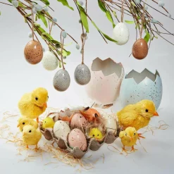 Eier-Küken-Schachtel