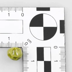 Erbsen Blanchiert Lebensmittel-Attrappe, 100 G