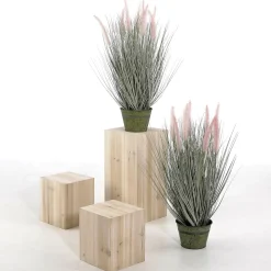 Feines Deko-Federborstengras In Silber-rosa Im Zinktopf 57 Cm