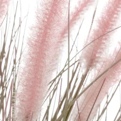 Feines Deko-Federborstengras In Silber-rosa Im Edlen Zinktopf 70 Cm