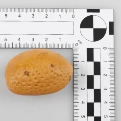 Gemischtes Nuss-Sortiment - Lebensmittelattrappen 200 G Beutel