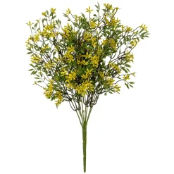 Glanzmispelpick Gelb-grün B1, 45 Cm