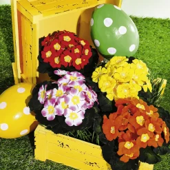 Holzkisten-Satz, Gelb