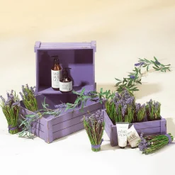 Holzkisten-Satz, Lila