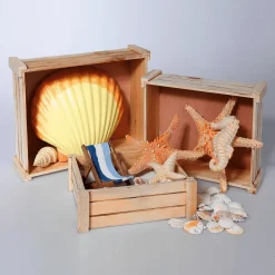 Holzkisten-Satz, Natur