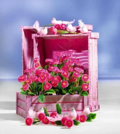 Holzkisten-Satz, Rot