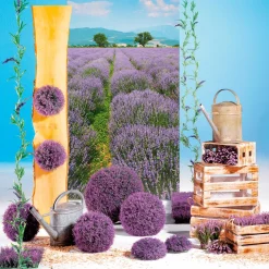 Holzkisten-Satz, 2tlg.