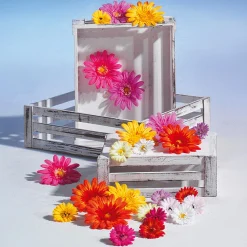 Holzkisten-Satz, Weiß