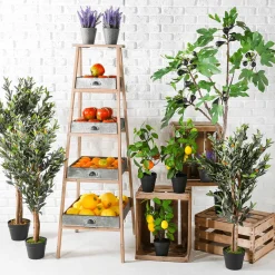 Honigmelone Lebensmittel-Attrappen