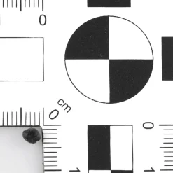 Kaviar Lebensmittel-Attrappe Schwarz 100 G