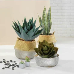 Künstliche Agave Parryi Ohne Topf, 38 Cm Ø