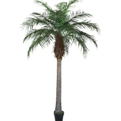 Künstliche Areca Palme 180 Cm