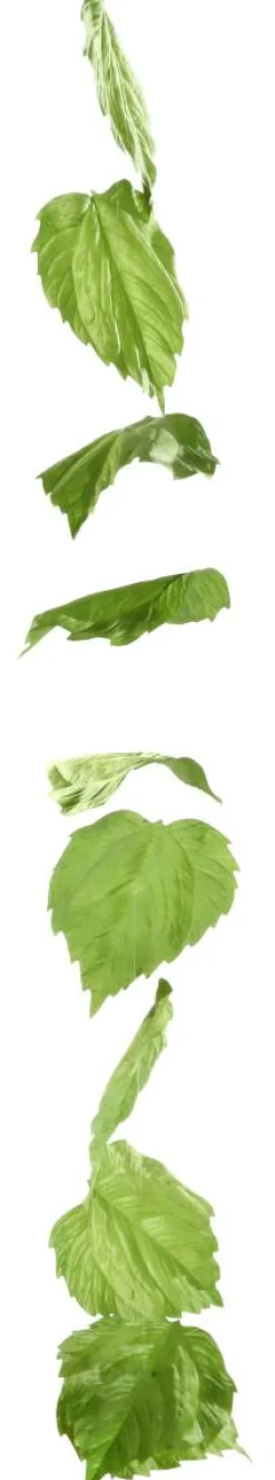 Künstliche Birkenblättergirlande 160 Cm