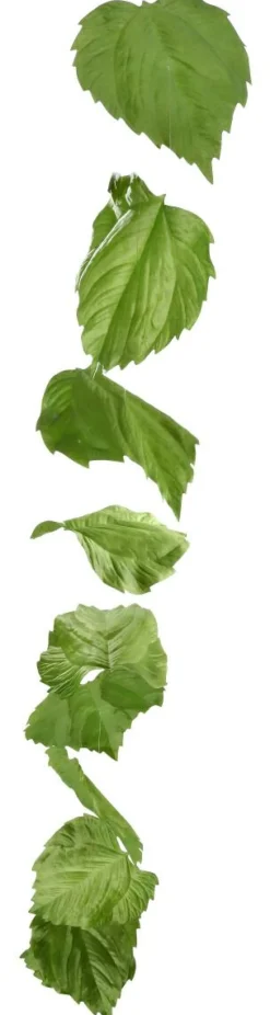 Künstliche Birkenblättergirlande 160 Cm