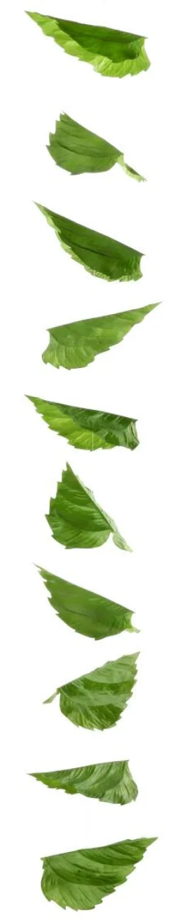 Künstliche Birkenblättergirlande 160 Cm