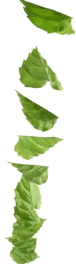 Künstliche Birkenblättergirlande 160 Cm