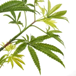 Künstliche Hanfpflanze Cannabis Pflanze 90 Cm