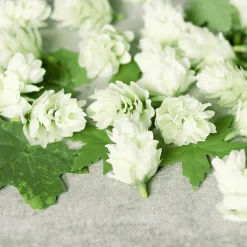 Künstliche Hopfenblüten 30 Stück Grün