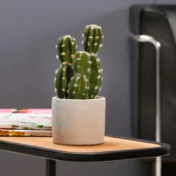 Künstliche Kaktuspflanze Im Topf, Grün 23 X 10 Cm