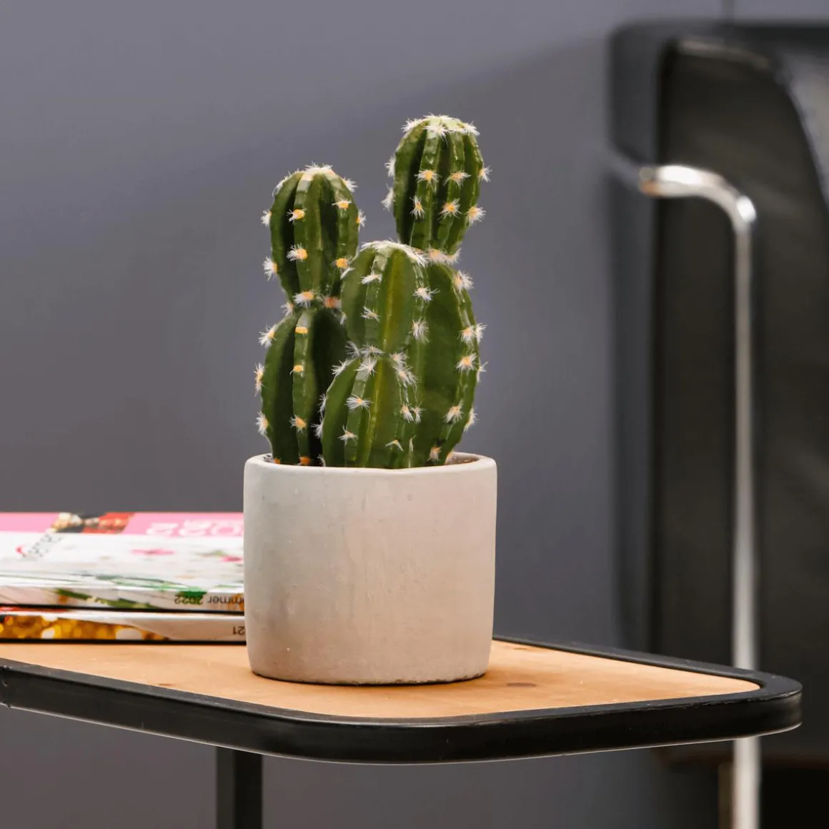 Künstliche Kaktuspflanze Im Topf, Grün 23 X 10 Cm