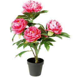 Künstliche Pfingstrose Im Topf