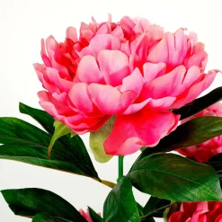 Künstliche Pfingstrose Im Topf