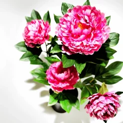 Künstliche Pfingstrose Im Topf