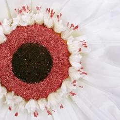 Künstliche Riesen-Gerbera-Blüte Weiß, 45 Cm Ø