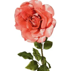 Künstliche Rose, Apricot 116 Cm