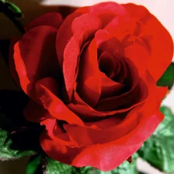 Künstliche Rosen-Girlande Rot,180 Cm