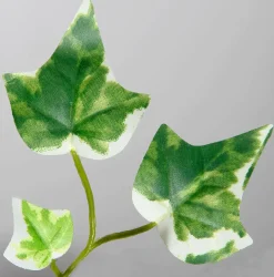 Künstlicher Efeubusch Grün-weiß 60 Cm