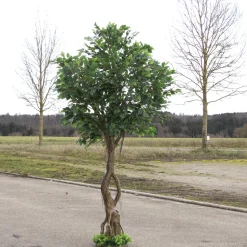 Künstlicher Ficusbaum Mit Standplatte 245 Cm