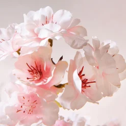 Künstlicher Kirschblüten Baum Weiß - Rosè, 150 Cm