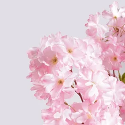 Künstlicher Kirschblüten-Baum Rosa, 180 Cm