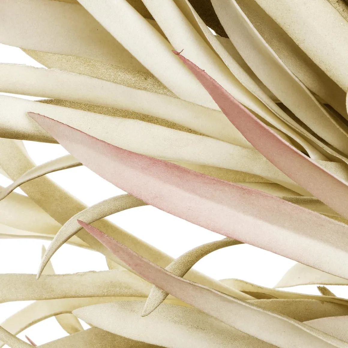 Künstlicher "Weiden"-Türkranz 75 Cm Hellgrün