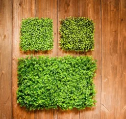 Künstliches Buchspaneel 60 X 40 Cm