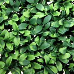 Künstliches Deluxe Buchspaneel, 25 X 25 Cm