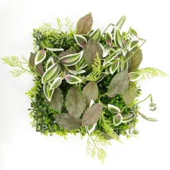 Künstliches Fittonia-Buchs-Paneel 25 X 25 Cm