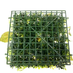 Künstliches Fittonia-Buchs-Paneel 25 X 25 Cm