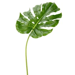 Künstliches Philoblatt 103 Cm