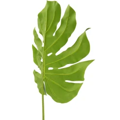 Künstliches Philoblatt 103 Cm