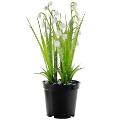 Kunstblume Maiglöckchen Im Topf, 20 Cm