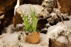 Kunstblume Maiglöckchen Im Topf, 20 Cm