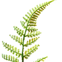 Kunstfarn Pick 30 Cm Ø