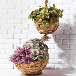 Kunstpflanze Maranta-Busch, 30 Cm